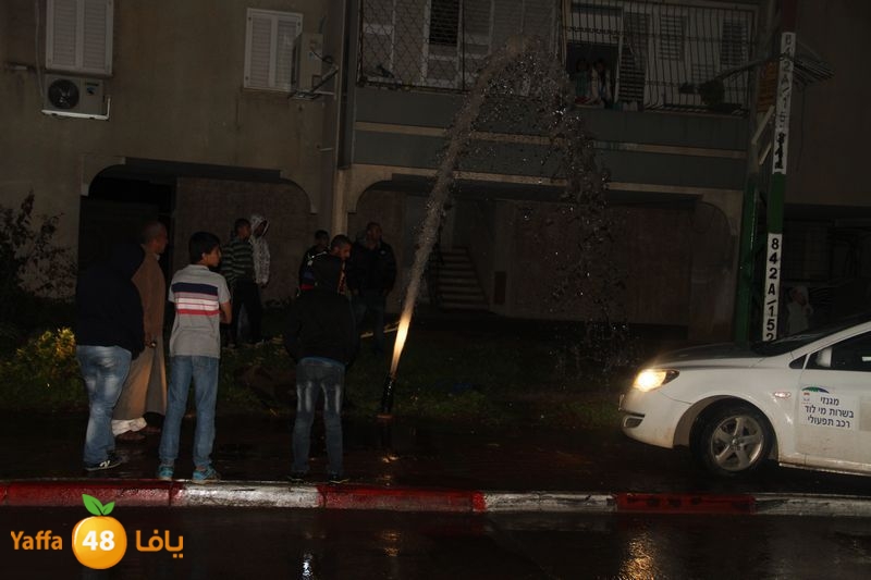 infejar onbookb (12).JPG